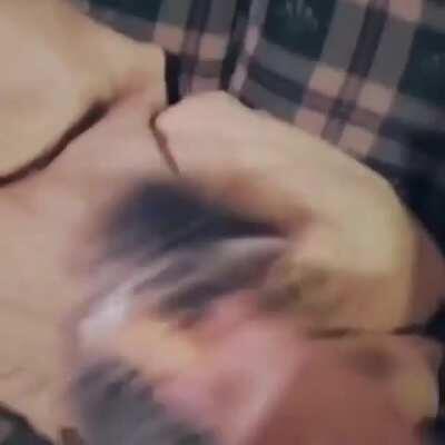 cAt GeTs LuReD bY iCe CrEaM aNd Is AtTaCkEd By HuMaN