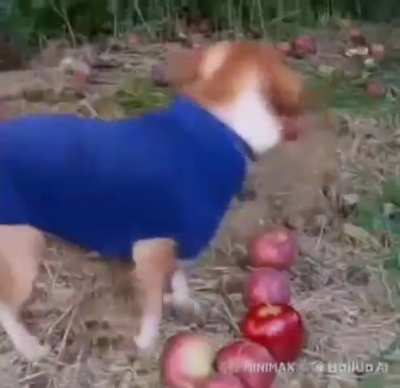 AI is getting a out of hand 💀