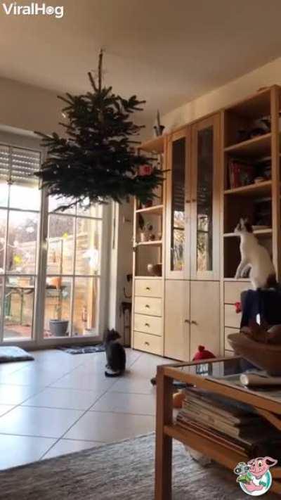 You'll need Tactical High Altitude Air Defense systems, aka THAAD to stop them!