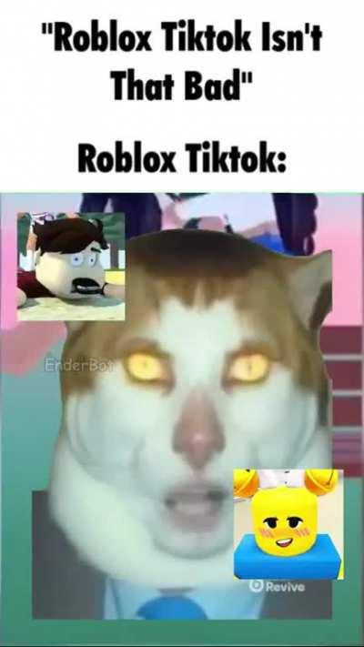 Roblox Tiktok Moment
