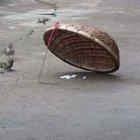 This bird knows all about sacrifice