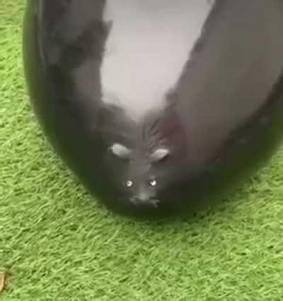 A bit weird? More like reallly weird lmao