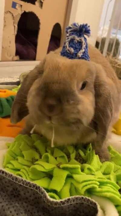 For whoever needs a pick me up 🥰