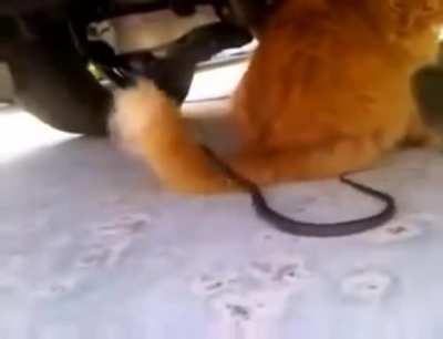 Too slow... Too slow again.... Still too slow..... Geeeet the hell away from me.