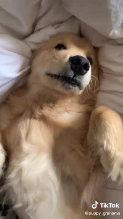 Graham cracker confessions