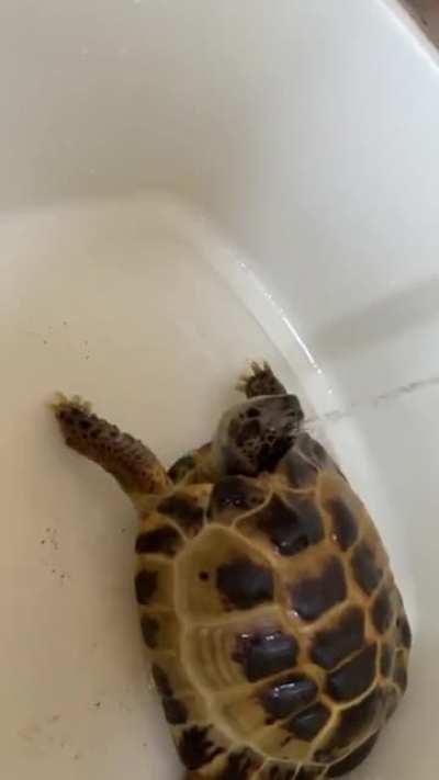 His favourite part of the day...