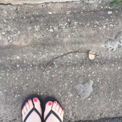 Just walking to the mailbox, but I was having a good leg/foot day. DMs open if you want to say hi!