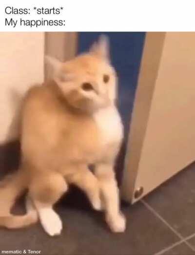 I don’t like school