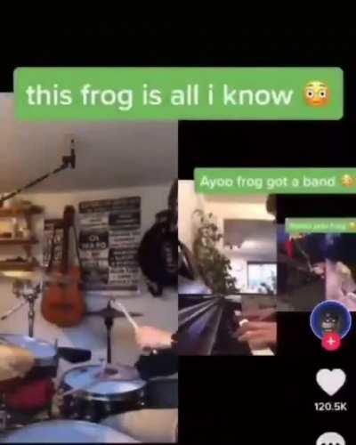 Froggy band