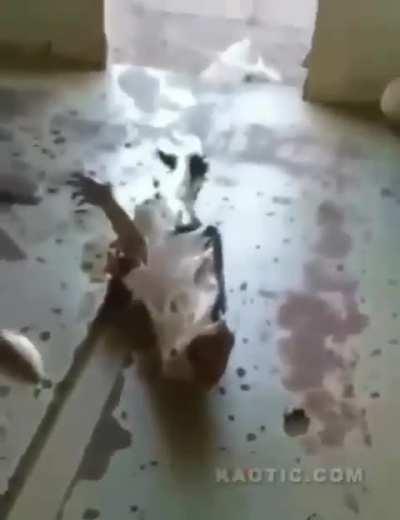 Oh! It's unbelievable.