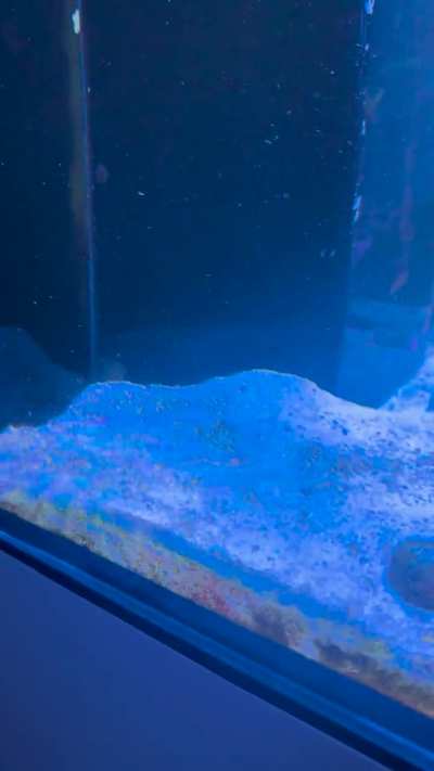 Any idea how to avoid dead spots or vortices in this tank?