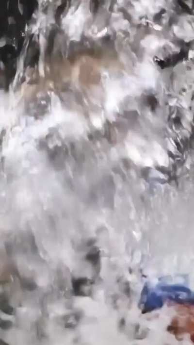 Only the legendary sir ten hag can save united..