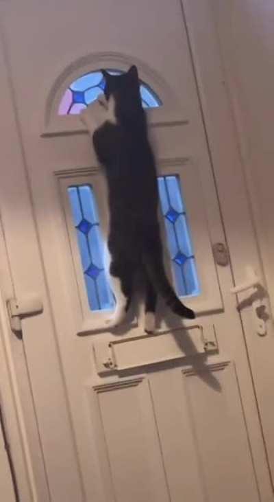 Perfectly executed jump, quick maths