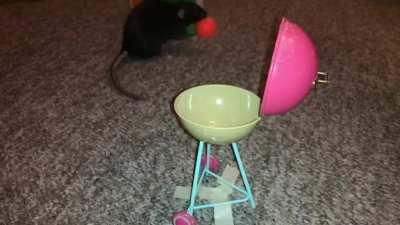 This weeks rat trick has my sweet rat Olive taking an item from a drawer, and 