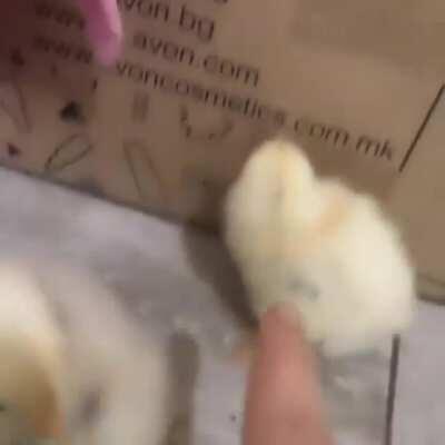 Mi quinto post en reddit