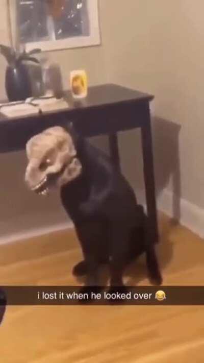 Tyrannosaurus Doggo