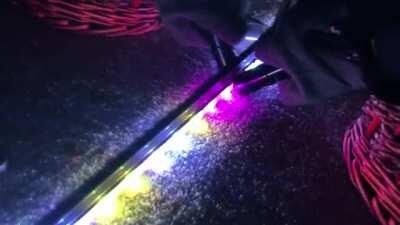 Well, what did you expect?