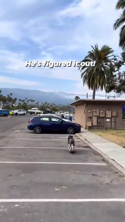 The BEST Onewheel video I’ve ever seen, HANDS DOWN.