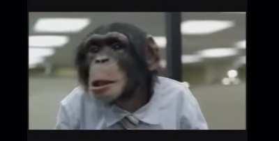 Real Apes don’t give a fuck if what the chart says 💎🤲🦍🦍🦍🦍💪🏿