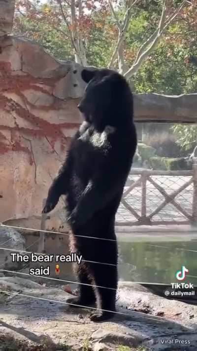 Imagine seeing this staring at you in the woods outside your window at night