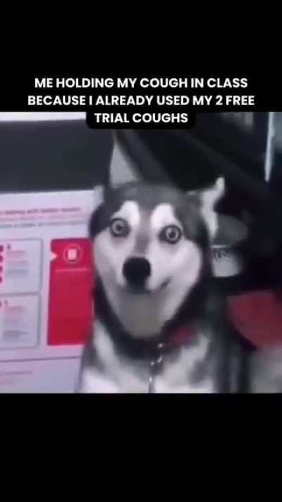 The Silent Battle of The Classroom😂