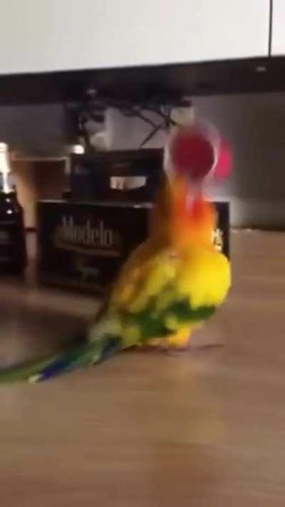 Your phone on vibrate?