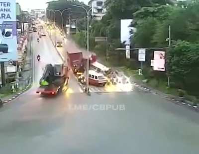 The trees man ! the trees !