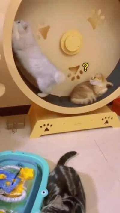 That’s no place to sleep