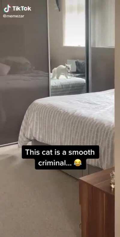 Thriller, thriller night