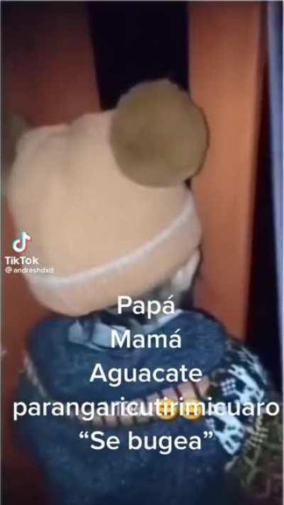 Child with amazing vocabulary