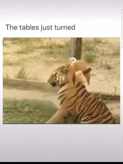 How the turns have tabled