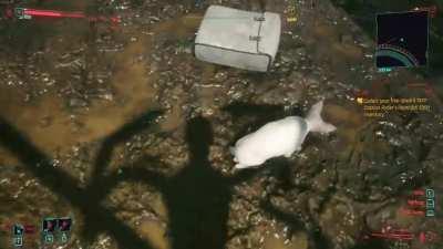 Nothing out of the ordinary here.