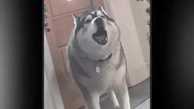 This was worth the five minutes to make lmao.