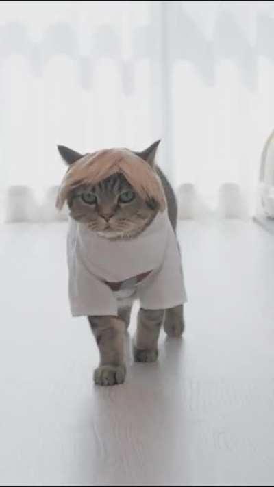 Just saw this Skywalker and it’s cute