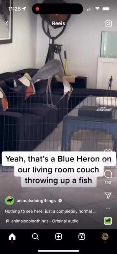 You look at this and tell me there’s a god