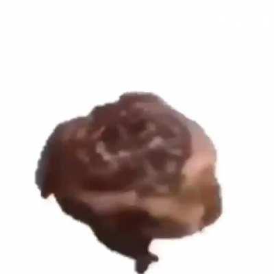 Lil something to brighten your day, or night!