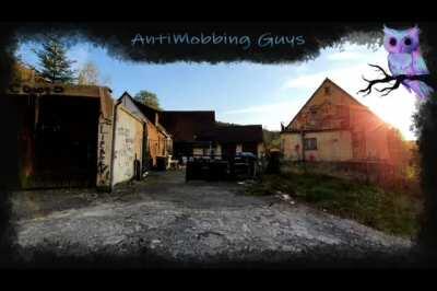 Nachdem der Oger im Discord nach Nintendo Guthaben gebettelt hat, ist er wieder sehr loyal und freundlich zu seinen Drachis