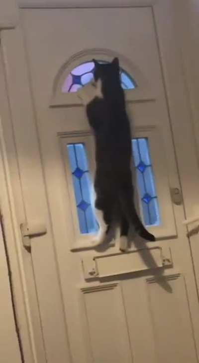 Perfectly executed jump, quick maths