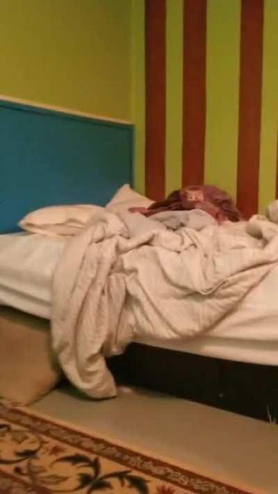 Trying to introduce the new kitten to our big boy but he freezes whenever he meets someone new.