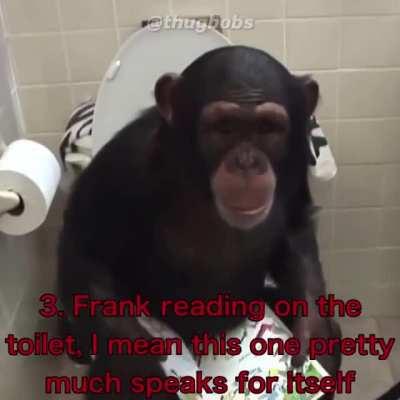 TOP 5 MOMENTOS DE FRANK