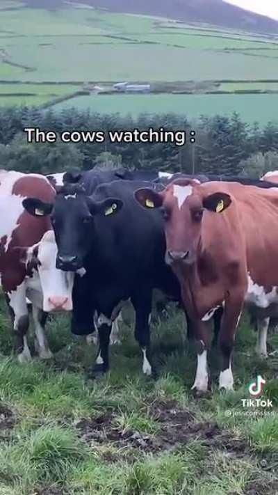 How tf did you do that?