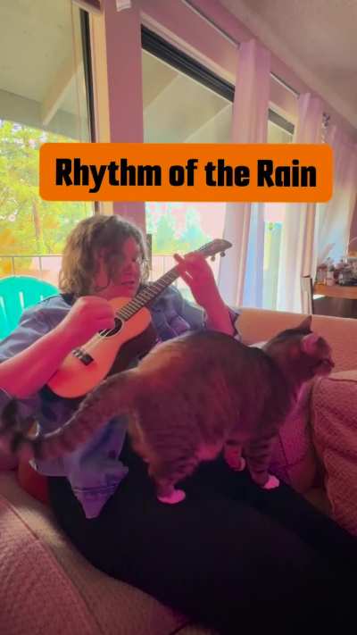 Rhythm of the Rain