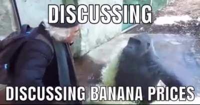 Banan🦧