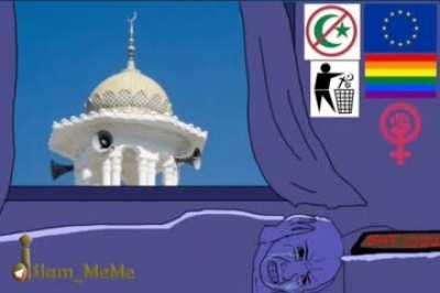 Average roach in istanbul