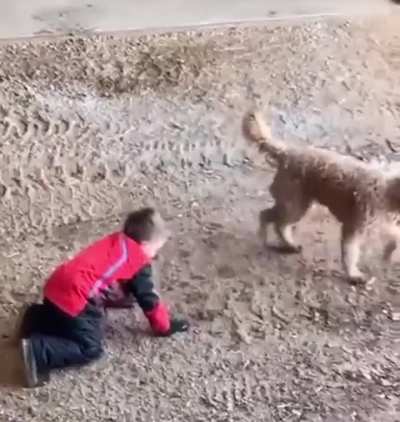 Stupid Kid tries to punch a dog. Proceeds to lose a fight and his hat.