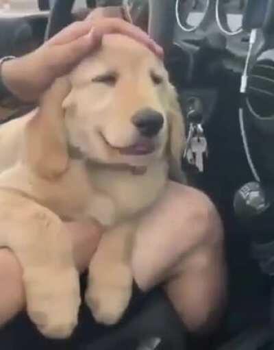 Don’t fall asleep. Don’t fall asleep. Don’t fall asleep.