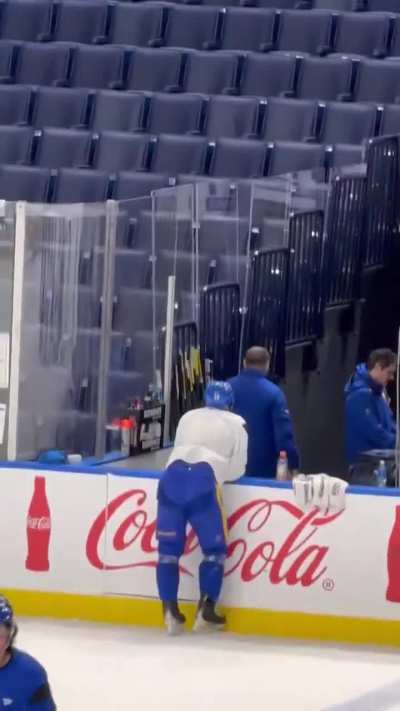 Krebs teaching Power how to be a dog