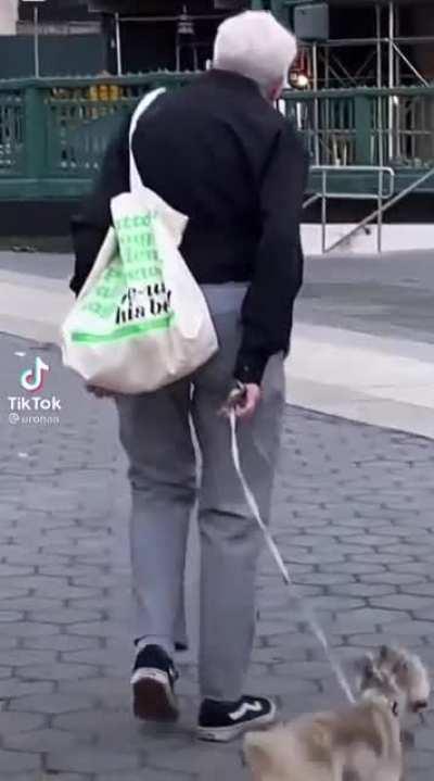 El perrito sabe que se viene el viernes de reddit