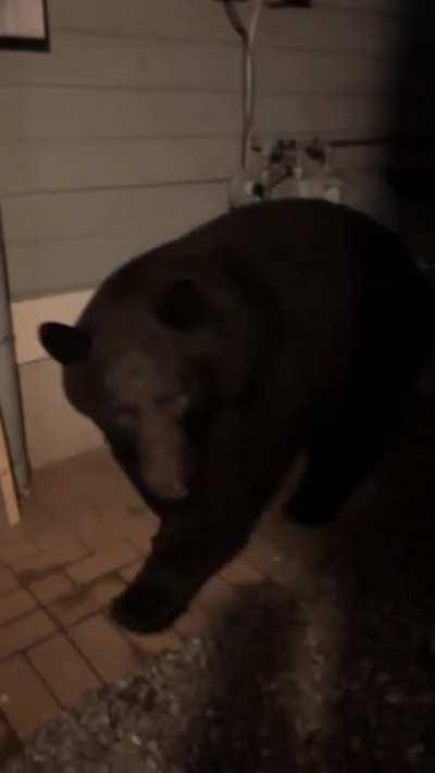 A alma ficou do lado de fora