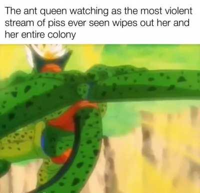 No dragon balls are fixing that.